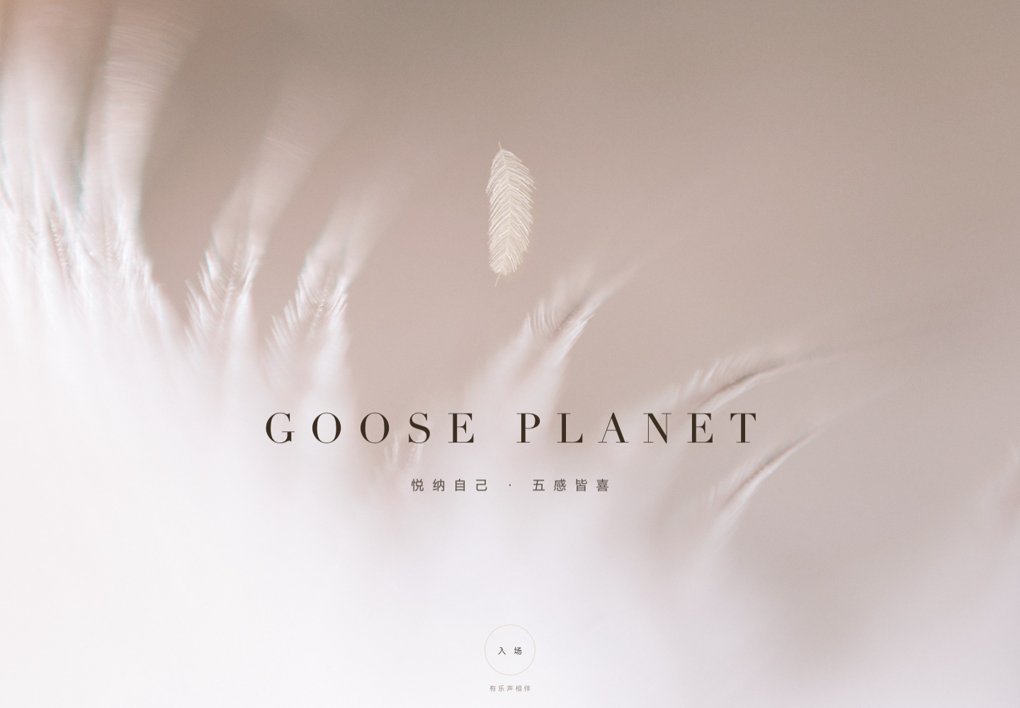 GOOSE PLANET产品官网真实首屏,羽毛作为品牌视觉线索